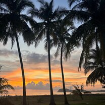 Personal trip to Samra, the sunset was beautiful 